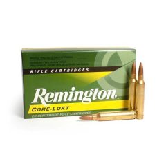 Remington 300 WSM 150gr 9,7g Core-Lokt PSP